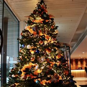 fwthumbRunnymede Hotel Christmas tree Lilys Flowers Lightwater.jpg